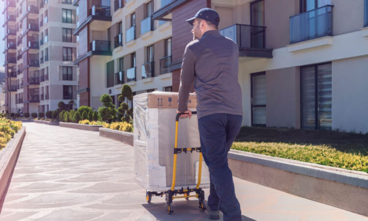 Delivery Person, Cargo Container, Hand Truck, Delivering, Door